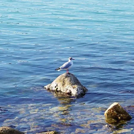 Casa Indipendente In Centro Con Corte Privata San Benedetto del Tronto