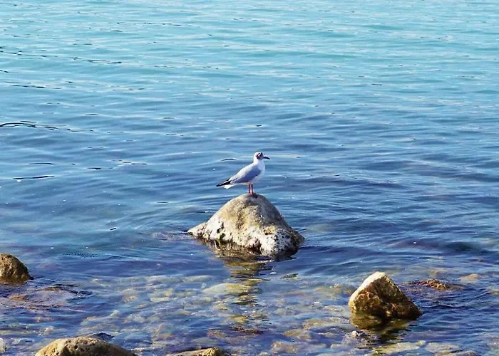 Casa Indipendente In Centro Con Corte Privata San Benedetto del Tronto